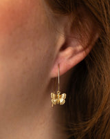 Rockless Butterfly Jewell Earrings