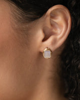 Petite Rock Nest Posts