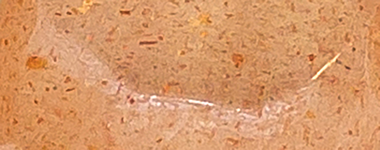 Peach Moonstone