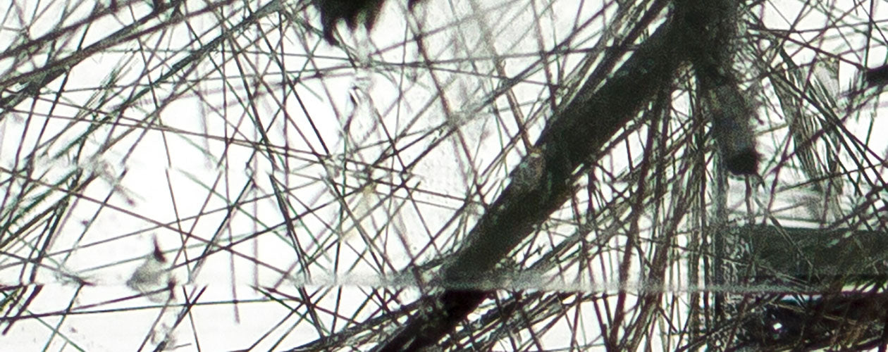 Tourmalinated Quartz
