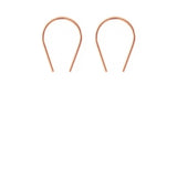 Horseshoe Earrings