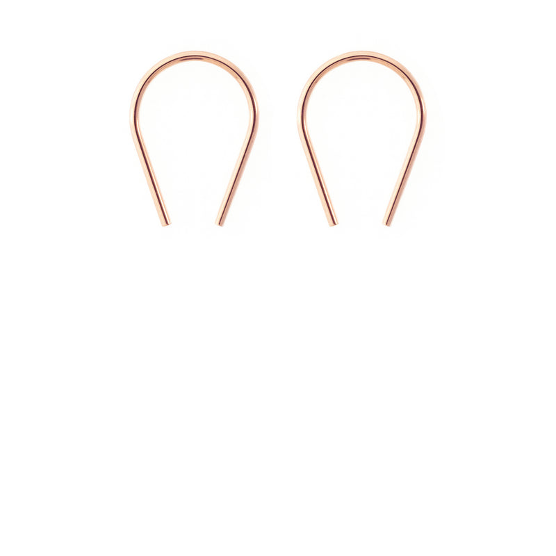 Horseshoe Earrings